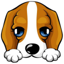 小汪路由管家下载v0.7.0.0 官方免费版-绿色资源网