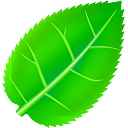 软件屋域名抢注工具下载v1.0.0 官方版-绿色资源网官方下载