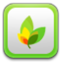 易视网页编辑器下载v2.1 绿色版