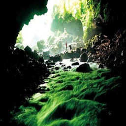 物魔种起源第三季百兽争霸_魔兽生存地图下载附地图攻略