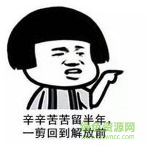 空气刘海剪好了表情包下载