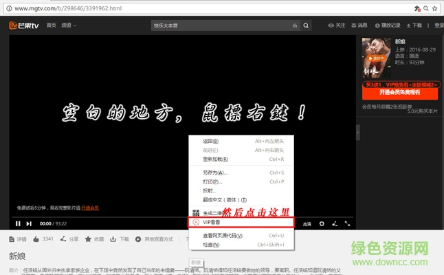 vip看看插件下载