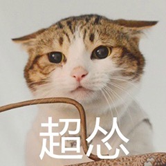 一只猫超怂的表情包下载
