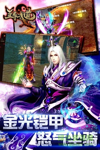 至尊战道电脑版