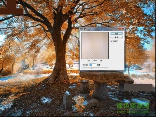 4.jpg 光束大师滤镜免费版