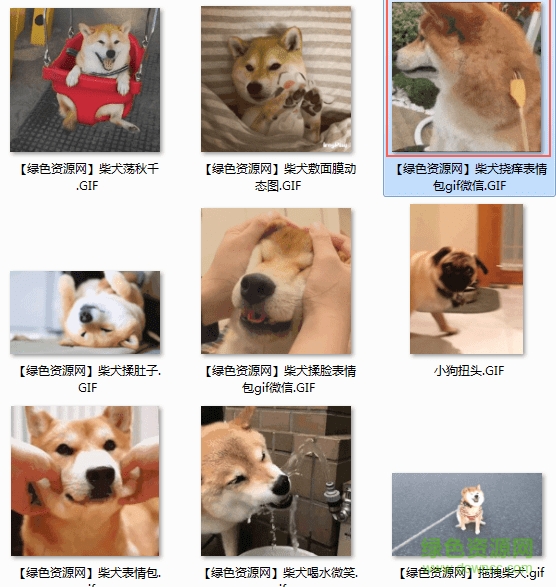 狗归队的gif表情包