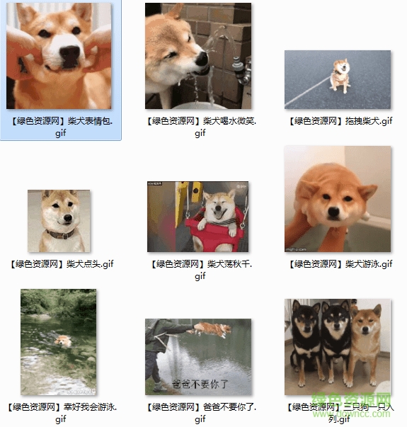 柴犬点头表情包gif