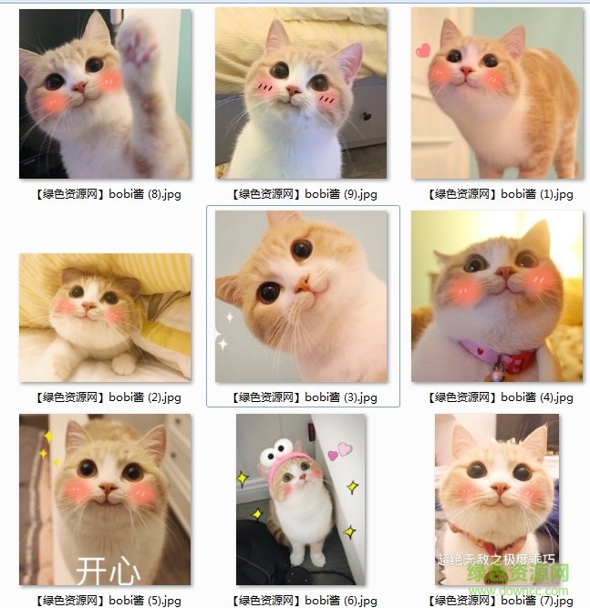 bobi酱表情包大全 bobi酱表情包