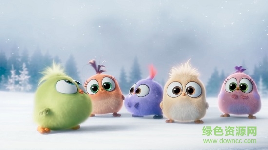 愤怒的小鸟舔屏壁纸 愤怒的小鸟动态壁纸