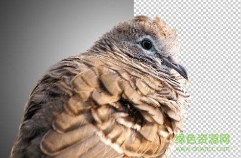 ps黑作坊插件（简易抠图面板） 