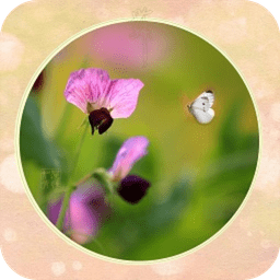 桌面壁纸时时换下载v1.2 绿色免费版