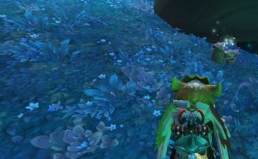 魔兽世界烁光林枝囤果者怎么获得