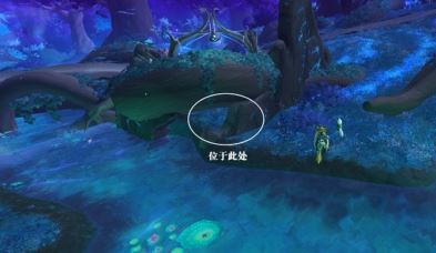 魔兽世界烁光林枝囤果者怎么获得