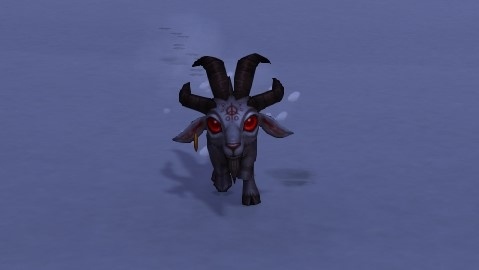 魔兽世界巴尔宠物获取攻略_巴尔宠物获取方法