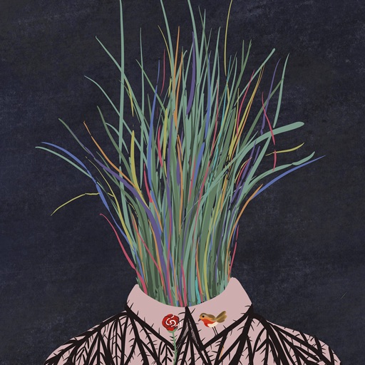 西柚壁纸 - 创意摄影与绘画插画官方下载