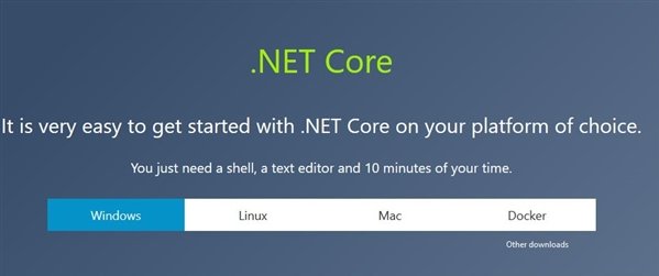 .net core下载