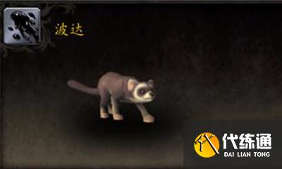 魔兽世界宠物波达获取攻略_波达获取攻略