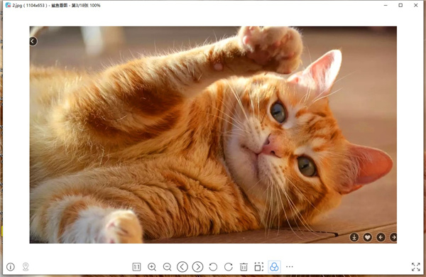 鲨鱼看图官方 鲨鱼看图最新版下载