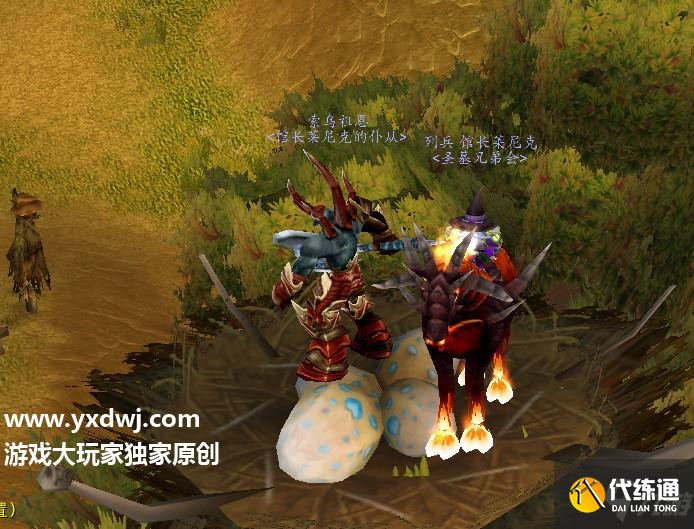 神秘的鸟蛋任务怎么做?魔兽世界tbc纳格兰给我鸟蛋任务怎么跳?