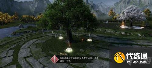 天涯明月刀手游锦鲤富可敌国任务怎么做