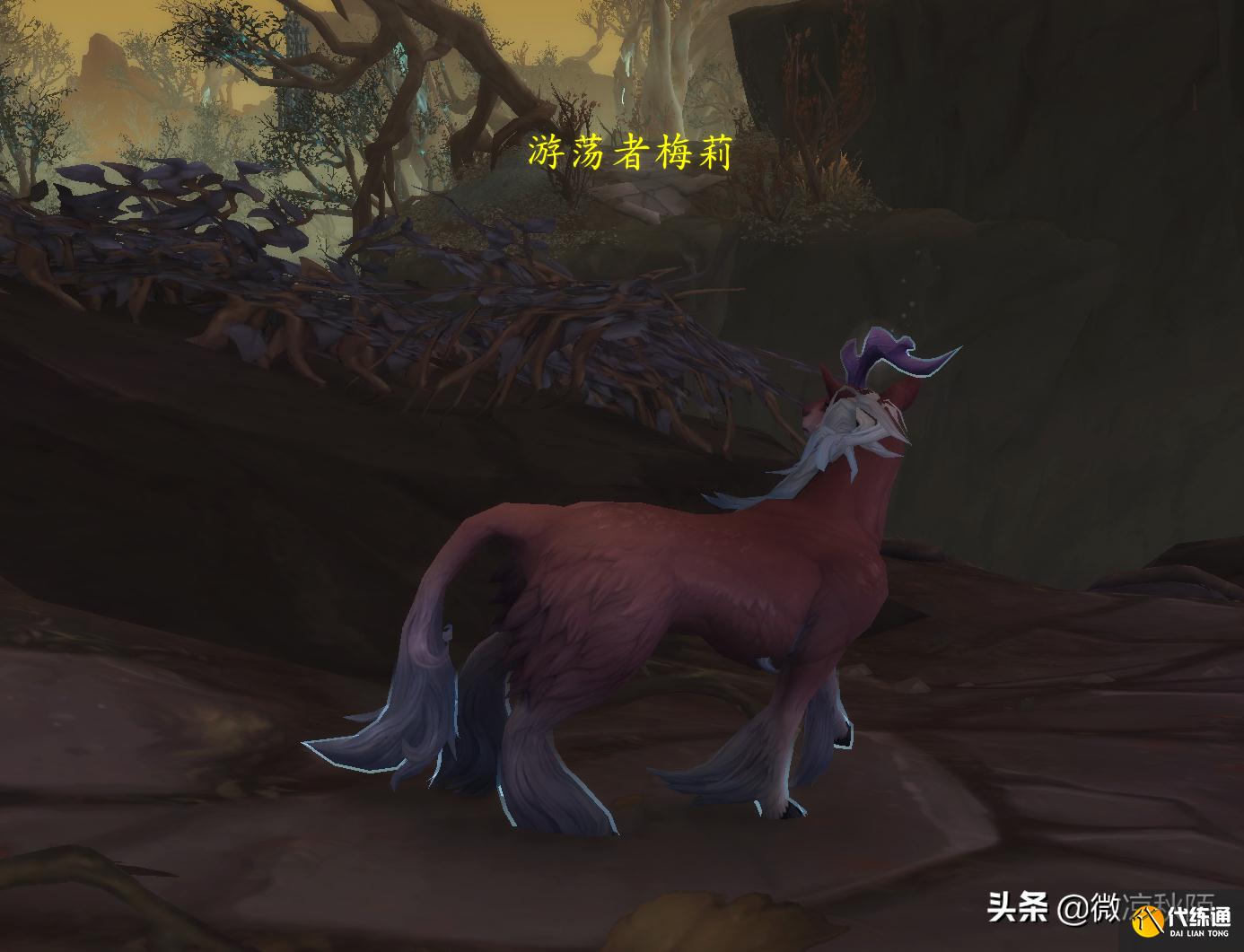 魔兽世界：刻希亚三个养成坐骑，任务路上就能获取道具，顺路拿了