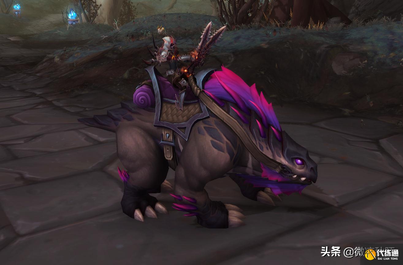 魔兽世界：刻希亚三个养成坐骑，任务路上就能获取道具，顺路拿了