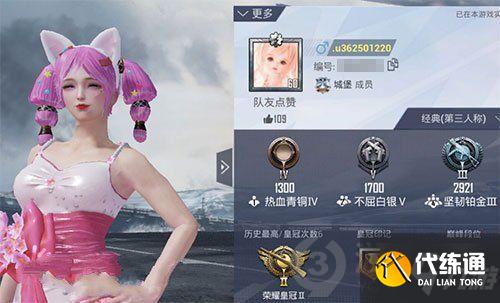 和平精英名字变成u加数字怎么办