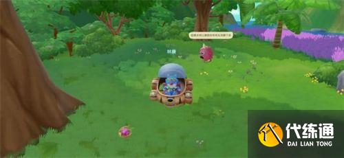 摩尔庄园毛毛头追逐战怎么玩