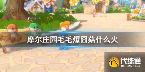 爆囧菇火候制作方法_毛毛爆囧菇