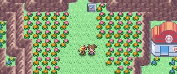 PokeMMO黑白Rom pokemmo黑白rom软件