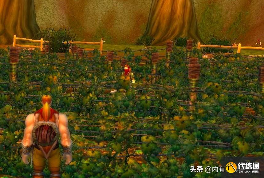 魔兽世界怀旧服:永久60怎样了?人确实不多,但游戏本质回归