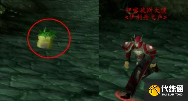 魔兽世界TBC怀旧服_冷门BUFF与团本攻略