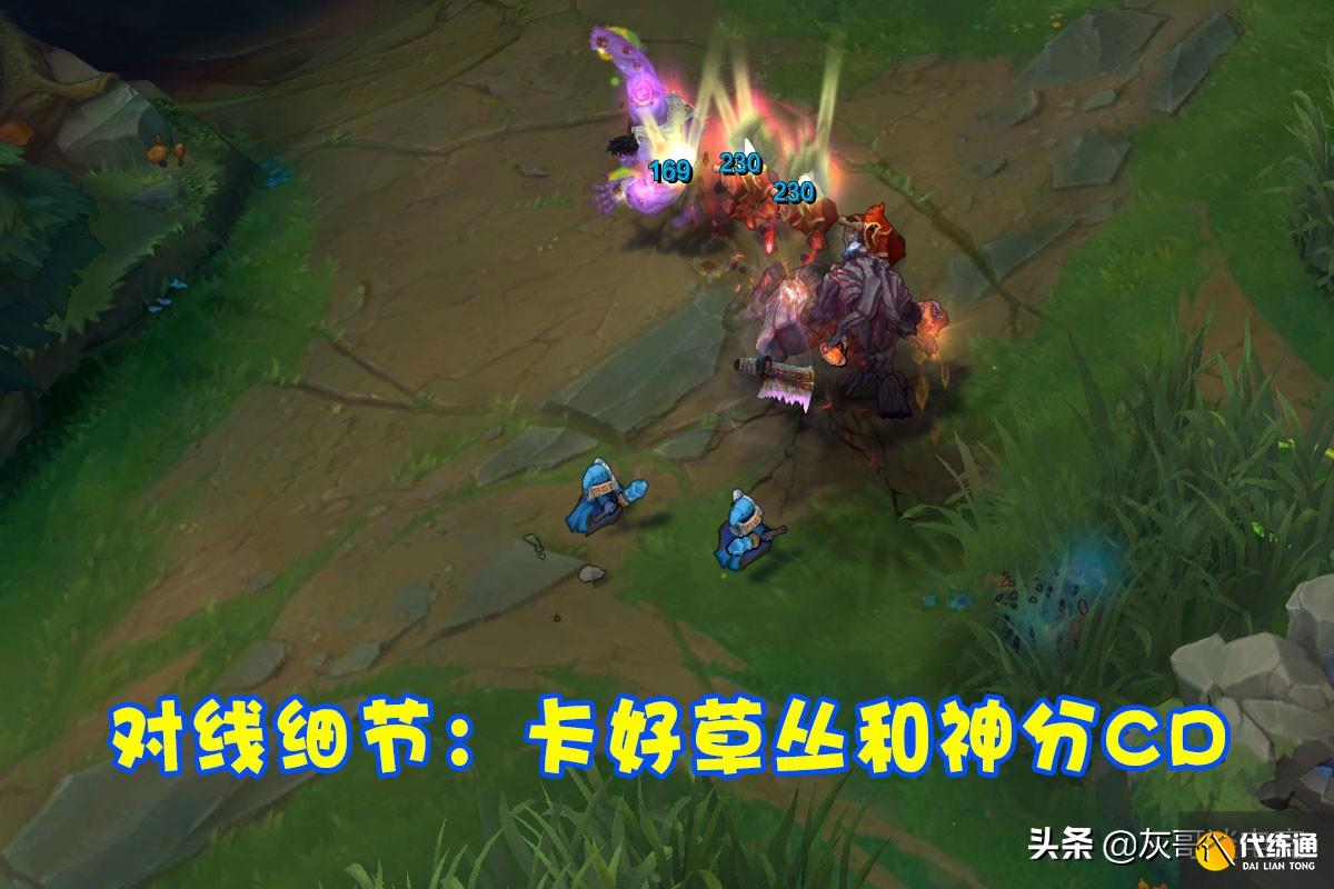 LOL“三吸流”大树拯救坦克!后期一下平A回上千血,专治长手上单