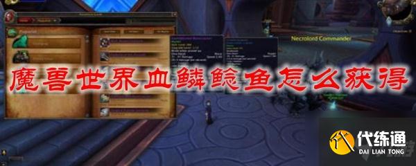 魔兽世界血鳞鲶鱼获取攻略_血鳞鲶鱼在哪抓
