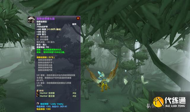 魔兽TBC:猎人T5套装真正用法,搭配一款散件,轻松单刷风剑老虎