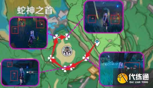 原神血斛采集路线分享攻略 原神血斛采集路线分享攻略