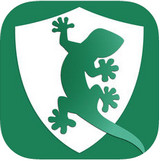 壁虎浏览器电脑版下载v5.5.8 最新版