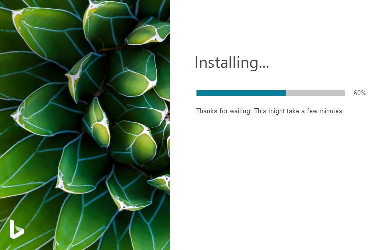 bing wallpaper 必应壁纸