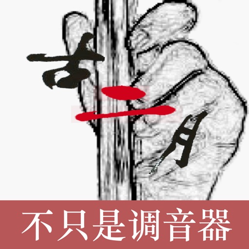 二胡调音器-调音,定弦,音准