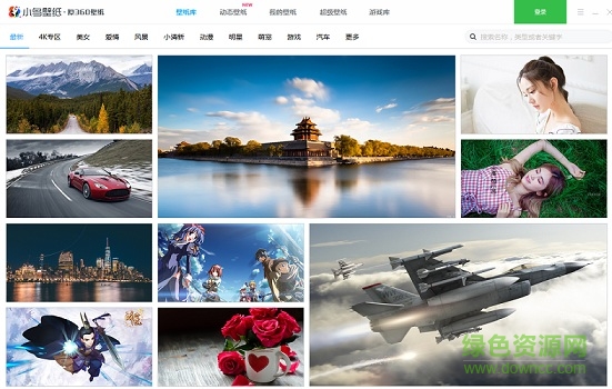 小鸟壁纸动态壁纸正式版 小鸟壁纸正式版