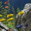 梦幻水族馆屏保汉化版下载v1.234 中文免费版