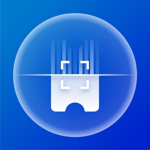 百望智票官方下载