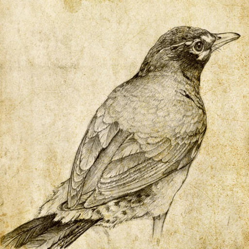 素描大师 - 铅笔美图卡通艺术相机