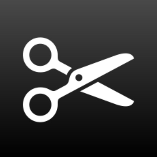 AI抠图神器，AI证件照 - PictureX