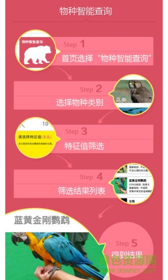 动物守护者软件