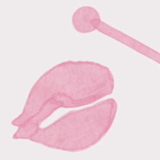 水平敲击 - 功德加一