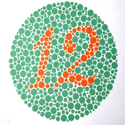 金百检测色弱软件下载v33.23.06 最新版