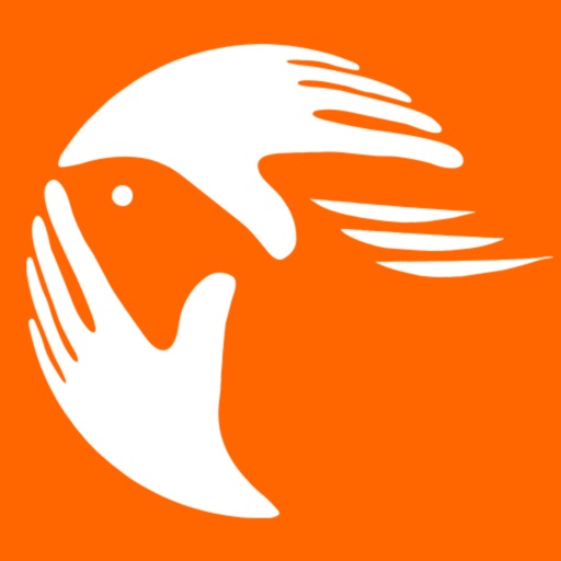 候鸟供应链官方下载