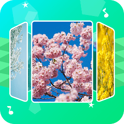 音乐相册助手下载v1.1.0 安卓版