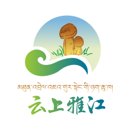 云上雅江app安卓版下载v1.3.0 最新版